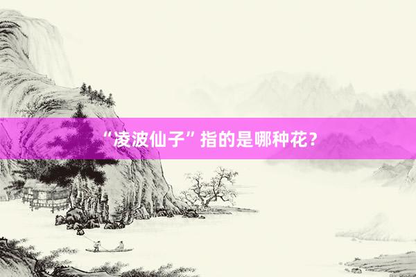 “凌波仙子”指的是哪种花？